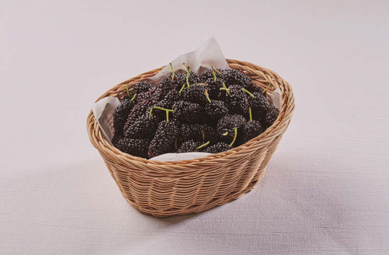 상세보기