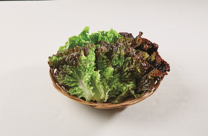 상세보기