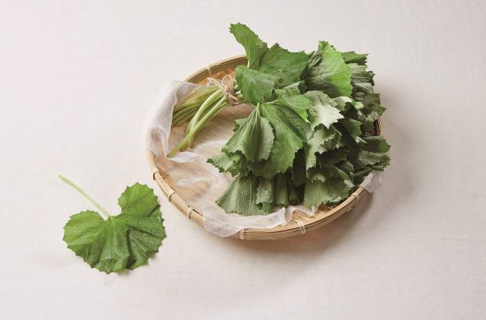 상세보기