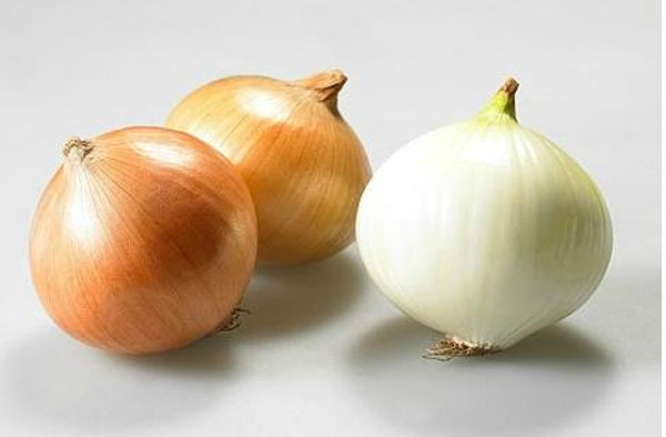 상세보기