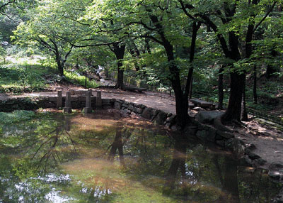 상세보기