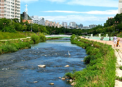 상세보기