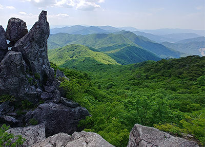 상세보기