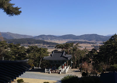 상세보기