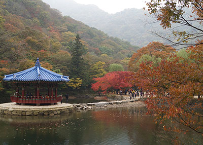 상세보기