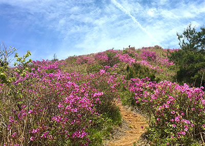 상세보기