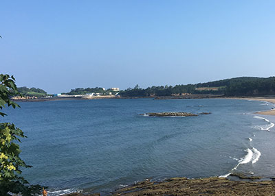 상세보기