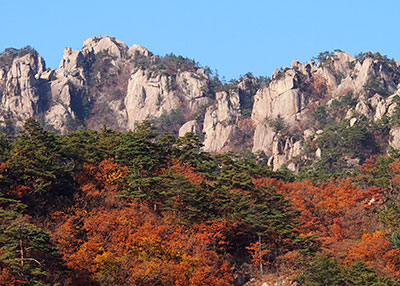상세보기