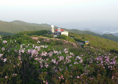 상세보기