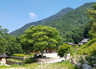 상세보기