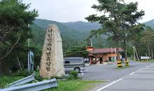 상세보기