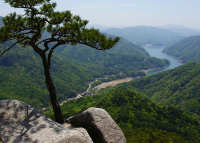 상세보기
