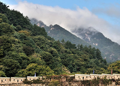 상세보기