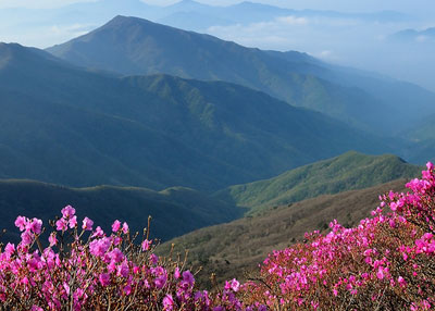 상세보기
